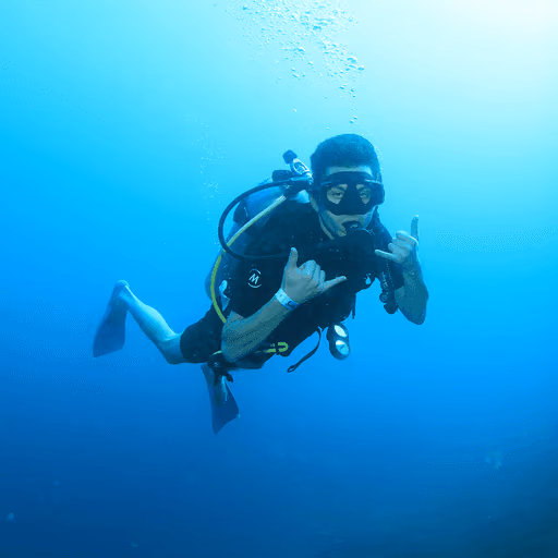 A scuba diver underwater
